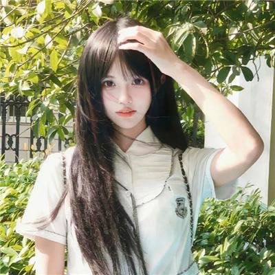 动物园之夜